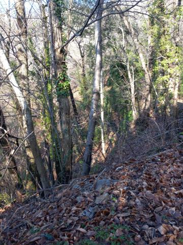 Terrain à vendre de 6 393,00 m² SAINT ETIENNE VALLEE FRANCAISE (48)