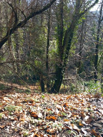 Terrain à vendre de 6 393,00 m² SAINT ETIENNE VALLEE FRANCAISE (48)