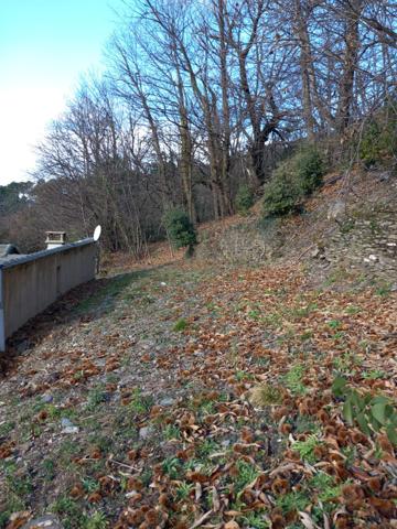 Terrain à vendre de 6 393,00 m² SAINT ETIENNE VALLEE FRANCAISE (48)