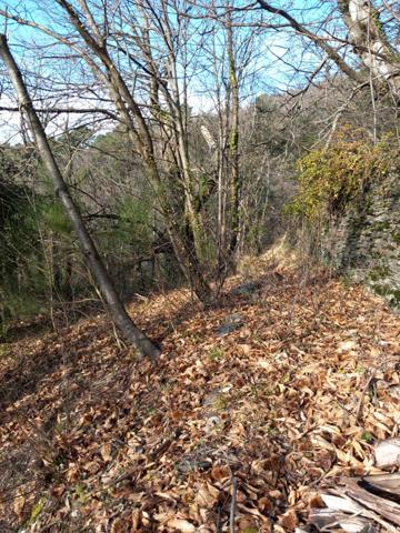 Terrain à vendre de 6 393,00 m² SAINT ETIENNE VALLEE FRANCAISE (48)