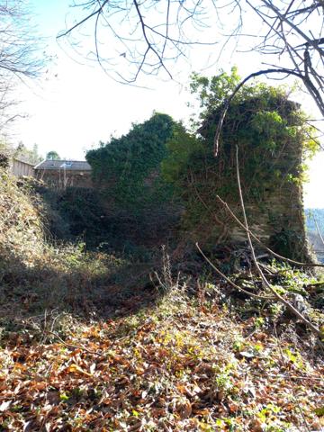 Terrain à vendre de 6 393,00 m² SAINT ETIENNE VALLEE FRANCAISE (48)