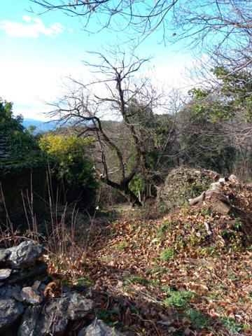 Terrain à vendre de 6 393,00 m² SAINT ETIENNE VALLEE FRANCAISE (48)