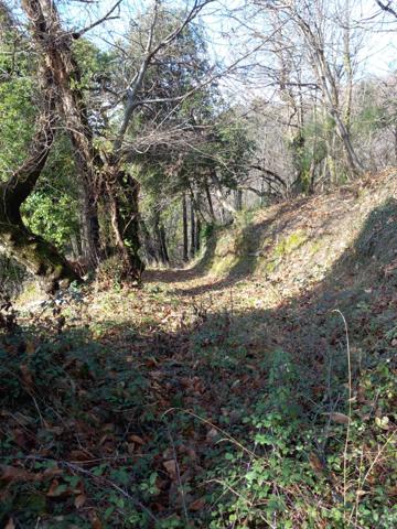 Terrain à vendre de 6 393,00 m² SAINT ETIENNE VALLEE FRANCAISE (48)