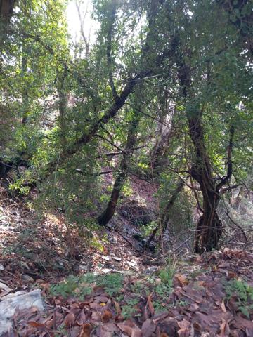 Terrain à vendre de 6 393,00 m² SAINT ETIENNE VALLEE FRANCAISE (48)