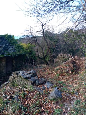 Terrain à vendre de 6 393,00 m² SAINT ETIENNE VALLEE FRANCAISE (48)