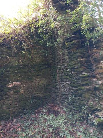 Terrain à vendre de 6 393,00 m² SAINT ETIENNE VALLEE FRANCAISE (48)