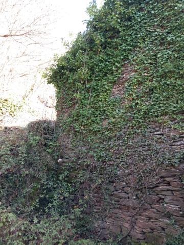 Terrain à vendre de 6 393,00 m² SAINT ETIENNE VALLEE FRANCAISE (48)