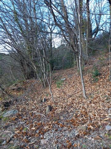 Terrain à vendre de 6 393,00 m² SAINT ETIENNE VALLEE FRANCAISE (48)