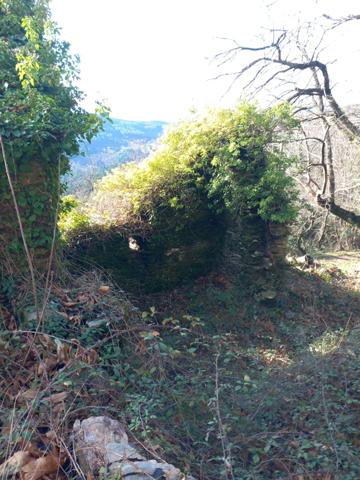 Terrain à vendre de 6 393,00 m² SAINT ETIENNE VALLEE FRANCAISE (48)