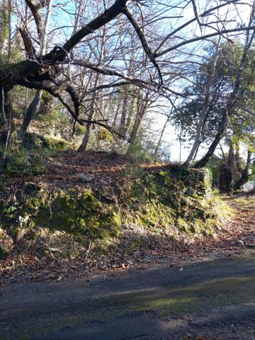 Terrain à vendre de 6 393,00 m² SAINT ETIENNE VALLEE FRANCAISE (48)