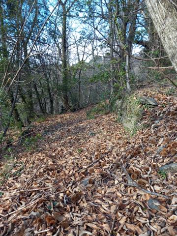 Terrain à vendre de 6 393,00 m² SAINT ETIENNE VALLEE FRANCAISE (48)