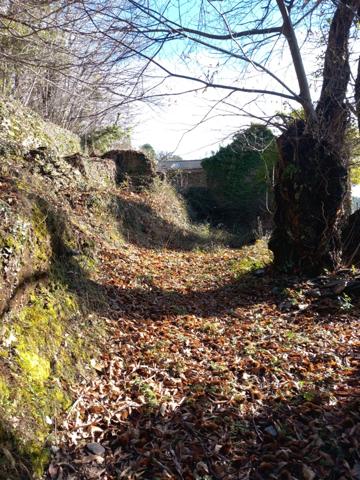 Terrain à vendre de 6 393,00 m² SAINT ETIENNE VALLEE FRANCAISE (48)