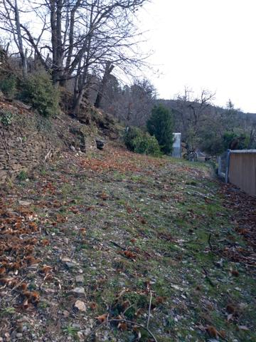 Terrain à vendre de 6 393,00 m² SAINT ETIENNE VALLEE FRANCAISE (48)