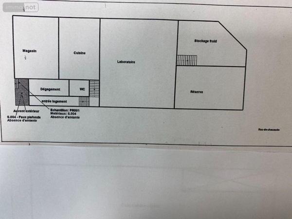 Local mixte (Pro/Hab) à vendre à Buzançais dans l'Indre (36500), ref : 1049665