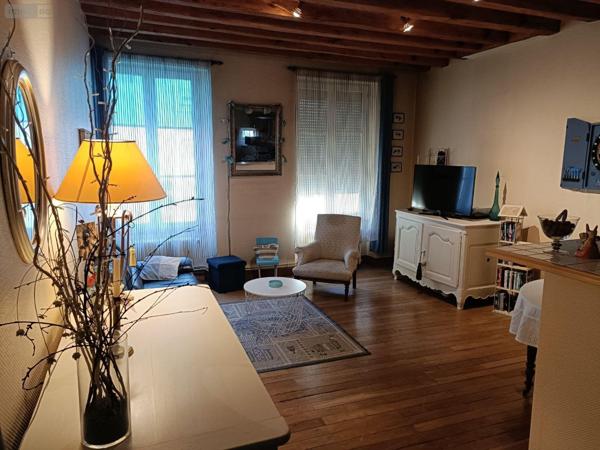 Local mixte (Pro/Hab) à vendre à Buzançais dans l'Indre (36500), ref : 1049665