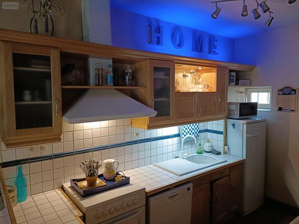 Local mixte (Pro/Hab) à vendre à Buzançais dans l'Indre (36500), ref : 1049665