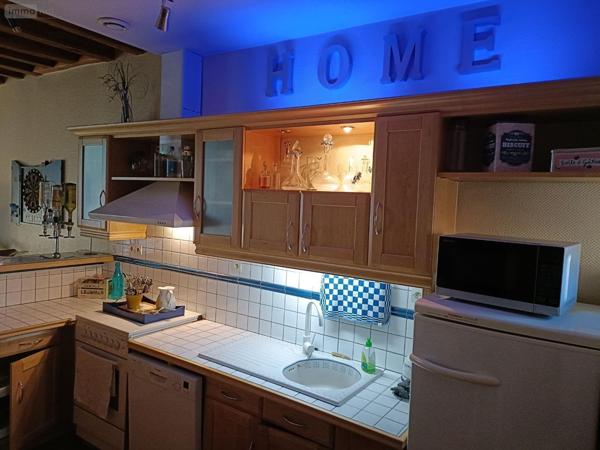 Local mixte (Pro/Hab) à vendre à Buzançais dans l'Indre (36500), ref : 1049665