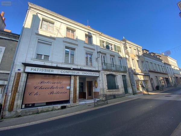 Local mixte (Pro/Hab) à vendre à Buzançais dans l'Indre (36500), ref : 1049665