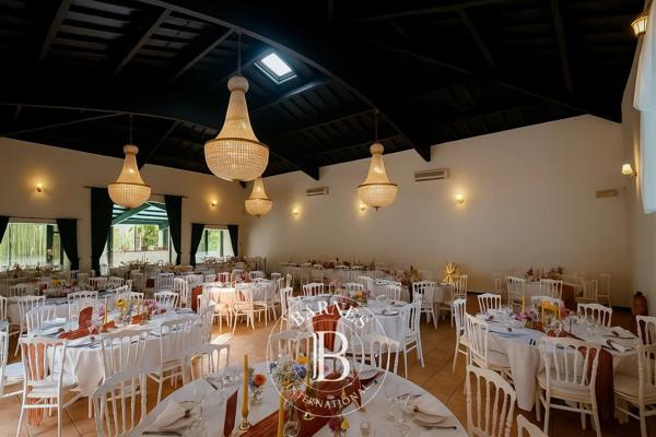 Lisle-sur-Tarn, Manoir  1 300 m² à vendre