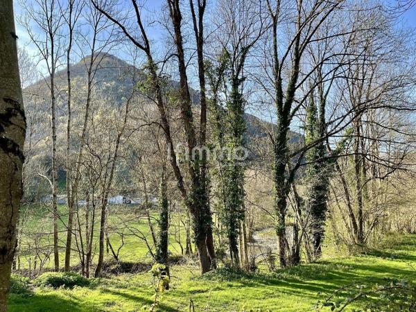 Terrain avec bois et grange, un cadre naturel et agréable