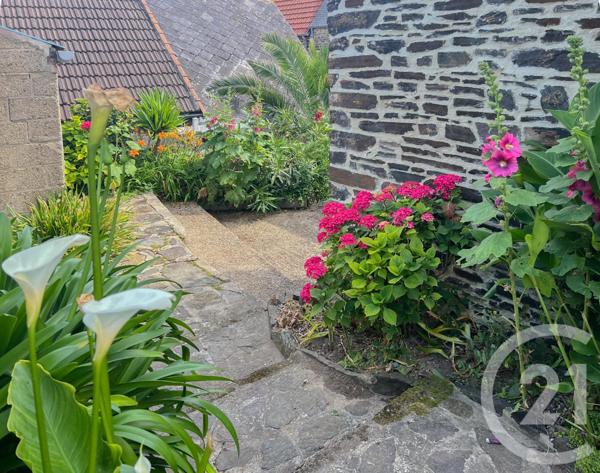 Maison à vendre  3 pièces - 55,44 m2 BARNEVILLE CARTERET - 50