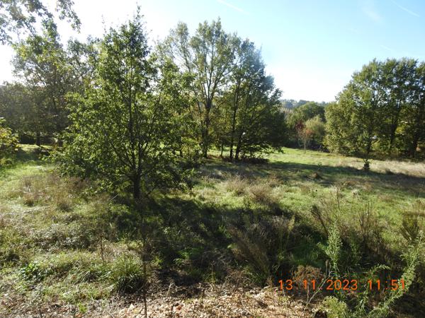 La Salvetat-Belmontet (82230) Vente terrain à bâtir