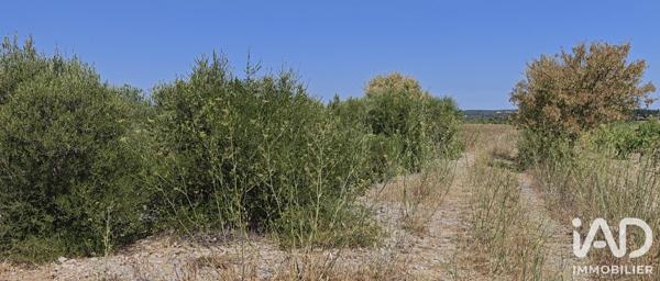 Terrain à vendre 3 315 m² La Palme