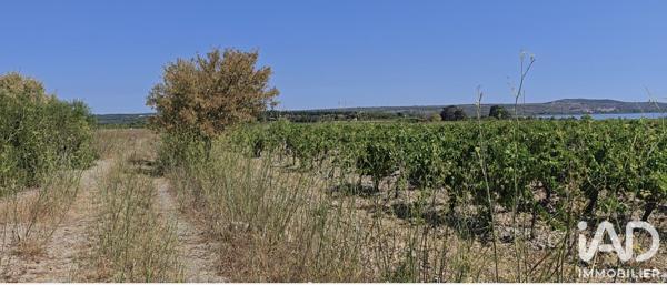 Terrain à vendre 3 315 m² La Palme