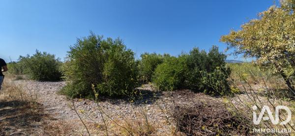 Terrain à vendre 3 315 m² La Palme