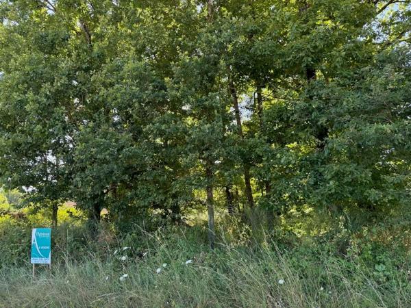 TERRAIN A BATIR MUR DE SOLOGNE