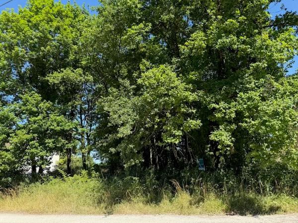 TERRAIN A BATIR MUR DE SOLOGNE