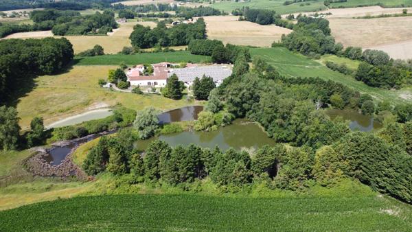 Commerce à vendre à Coteaux-du-Blanzacais (16250) - Charente