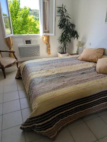 Maison Valensole 7 pièce(s) 198.8 m2 avec prestations haut de gamme à Valensole (04)