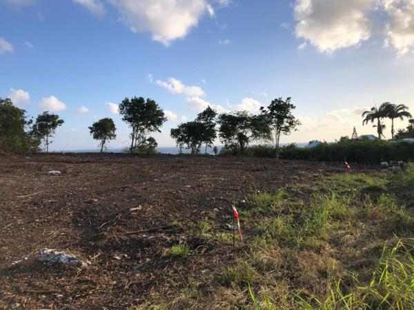 Vente / Terrain constructible