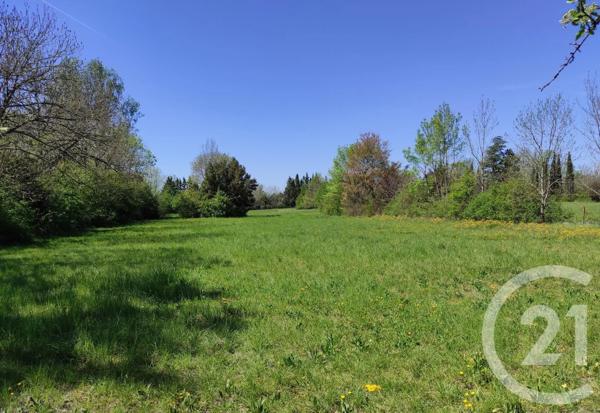 Terrain à vendre  8831 m 2   CASTRES  - 81