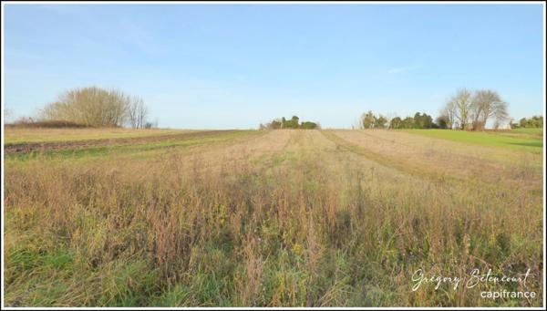 Terrain constructible 530 m² à ACHICOURT