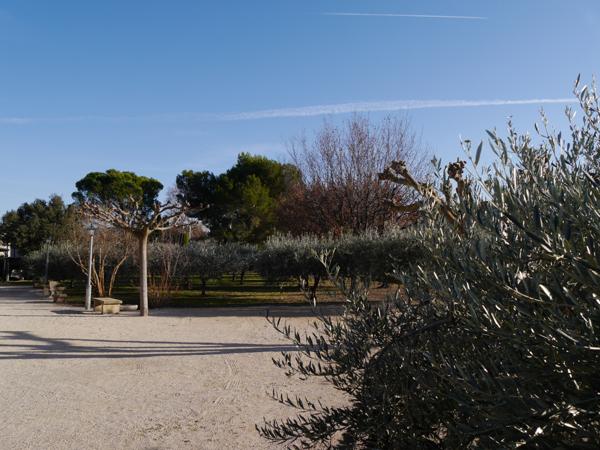 Modène (84330) Entre Mont-Ventoux et Dentelles de Montmirail – maison familiale avec vue, piscine et appartement indépendant
