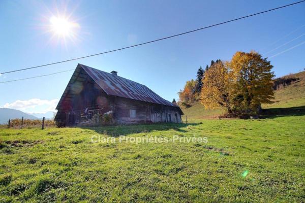Ancien chalet à rénover au coeur de la nature