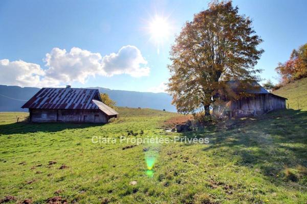 Ancien chalet à rénover au coeur de la nature