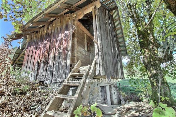 Ancien chalet à rénover au coeur de la nature