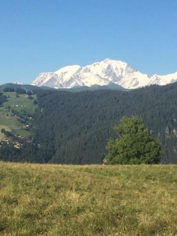 Ancien chalet à rénover au coeur de la nature