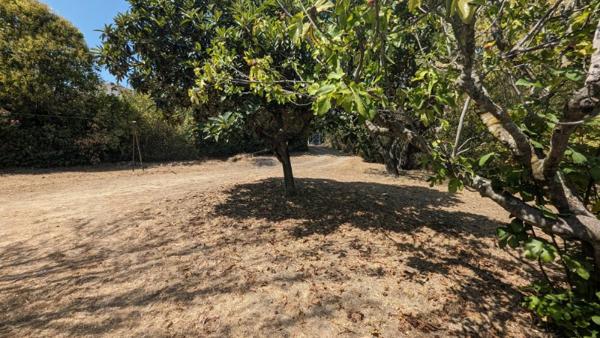 Beau terrain plat de 857m² en plein centre ville