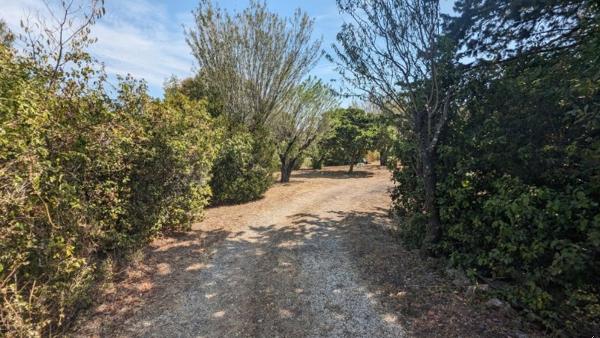 Beau terrain plat de 857m² en plein centre ville