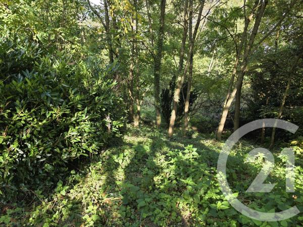 Terrain à vendre  806 m2 DAMMARTIN EN GOELE - 77