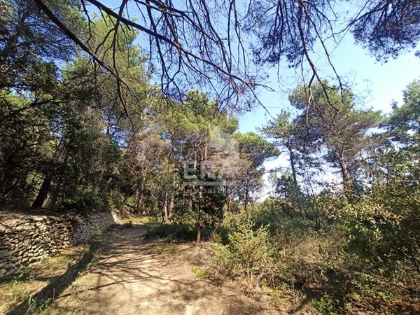 Terrain Bedoin 4000 m²  accès voiture, camping car