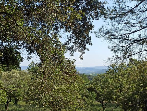 Terrain Bedoin 4000 m²  accès voiture, camping car