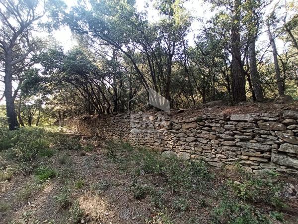 Terrain Bedoin 4000 m²  accès voiture, camping car