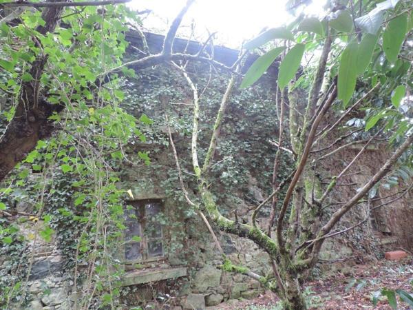 Maison à vendre à La Chapelle-Neuve dans les Côtes-d'Armor (22160), ref : 22069-1914