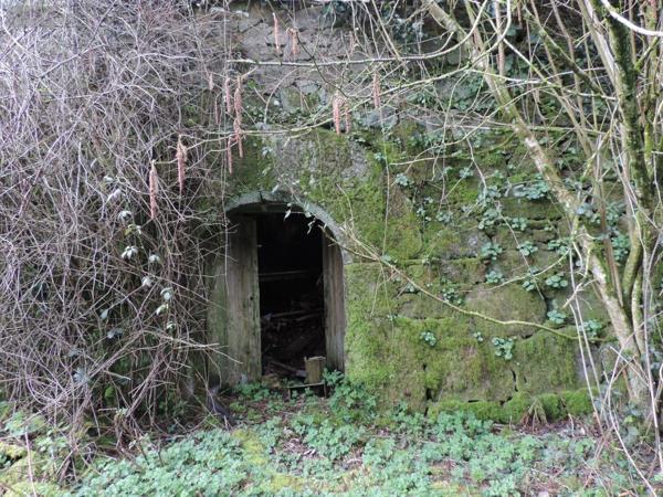 Maison à vendre à La Chapelle-Neuve dans les Côtes-d'Armor (22160), ref : 22069-1914