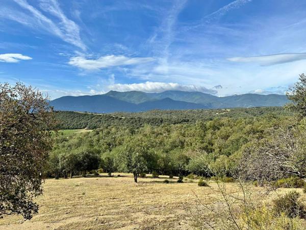 Vivès (66400) Terrain 22 800 m² joli potentiel